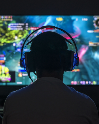 persona di spalle immersa in un videogioco